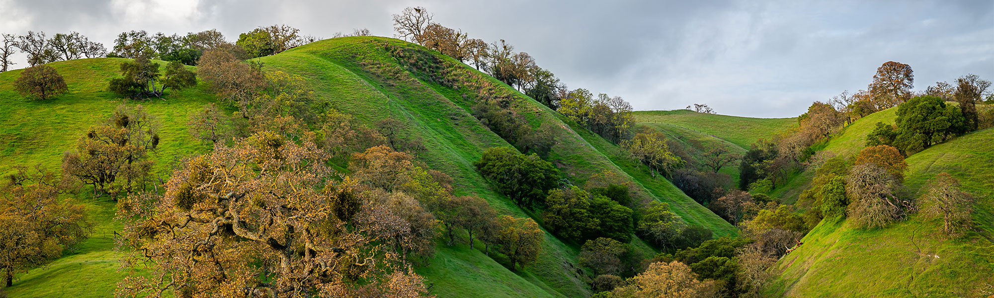 Impact of COVID-19 on Civil Courts & Jury Trials in Alameda and Contra Costa Counties