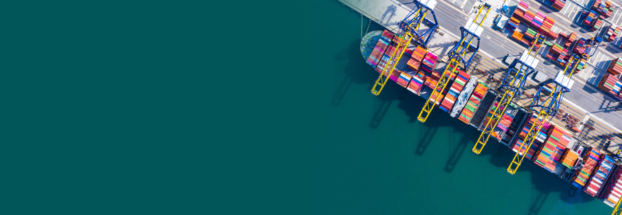 Navigating Legal and Business Disputes Arising from Global Crisis