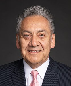 Hon. Michael A. Martinez (Ret.)