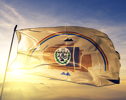 American Indian Tribal Law