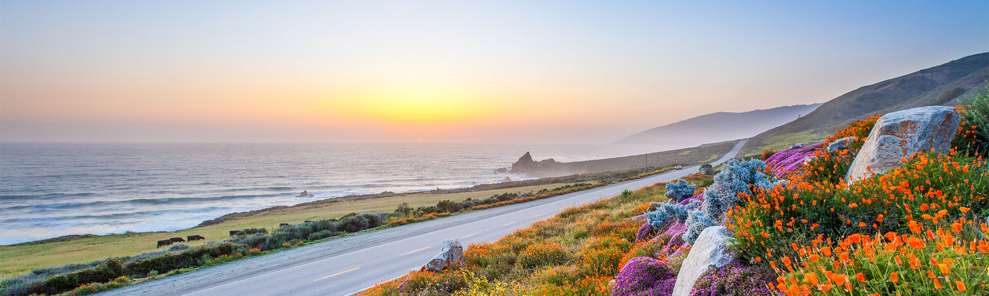 California Mediators and Arbitrators